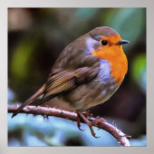 Plump Robin Perched on a Branch Wildlife Art Poster (Voorkant)
