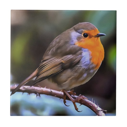 Plump Robin Perched on a Branch Wildlife Art Tegeltje (Voorkant)