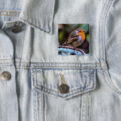 Plump Robin Perched on a Branch Wildlife Art Vierkante Button 5,1 Cm (In situ)