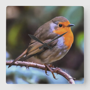 Plump Robin Perched on a Branch Wildlife Art Vierkante Klok