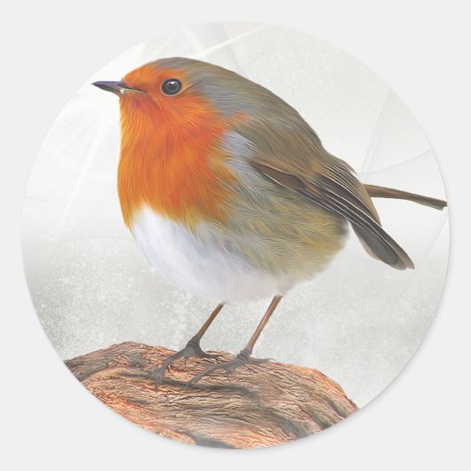 Plump Robin Redborst Ronde Sticker (Voorkant)