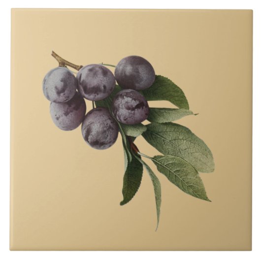 Plums Botanical~Kitchen ~Pick Any Color Background Tegeltje (Voorkant)