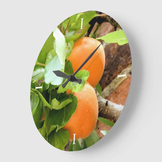 PLUMS GROTE KLOK (Hoek)