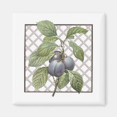 PLUMS MAGNEET (Voorkant)