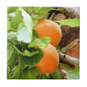 PLUMS TEGELTJE (Voorkant)