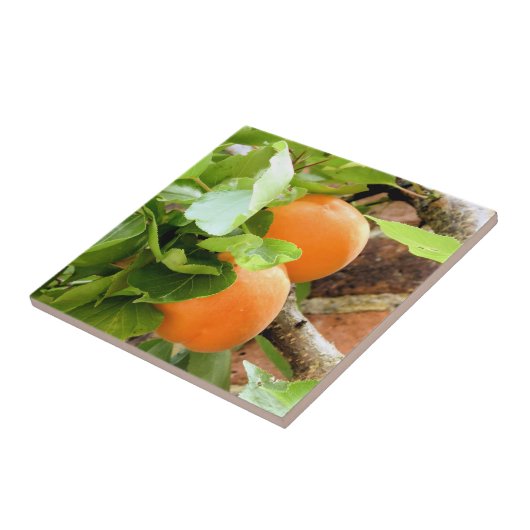 PLUMS TEGELTJE (Zijkant)