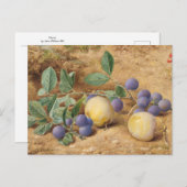 Plums van John William Hill Briefkaart (Voorkant / Achterkant)