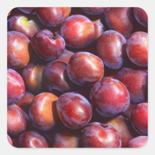Plums Vierkante Sticker