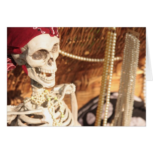 Plunderfeest. (Voorkant Horizontaal)