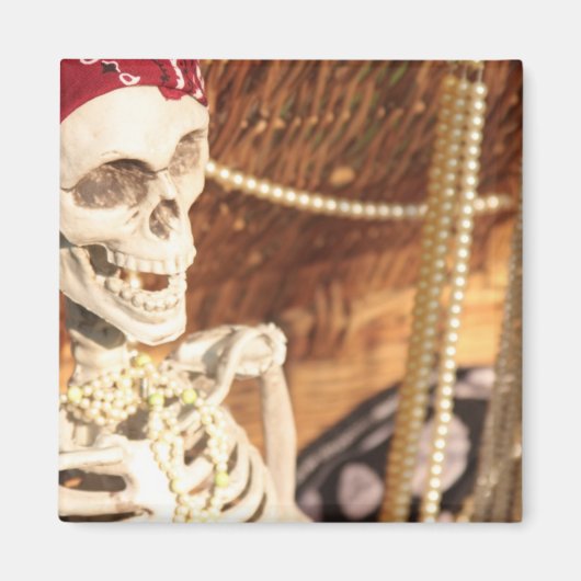 Plunderfeest. Magneet (Voorkant)