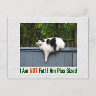 Plus Sized Kat Briefkaart