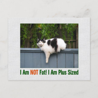 Plus Sized Kat Briefkaart
