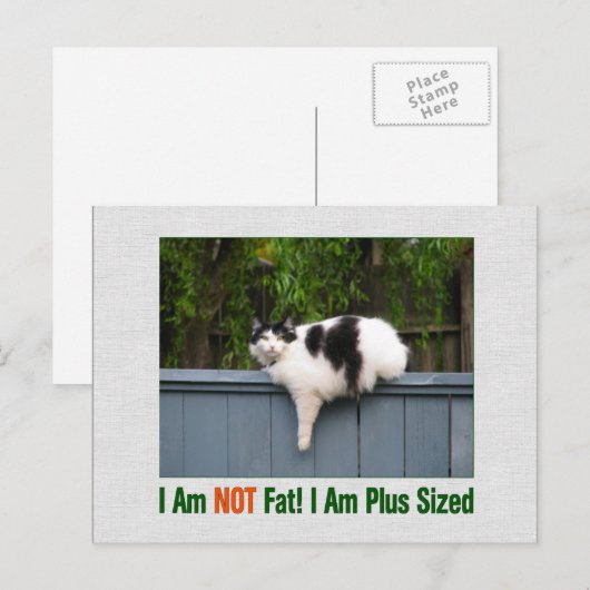 Plus Sized Kat Briefkaart (Voorkant / Achterkant)