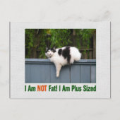 Plus Sized Kat Briefkaart (Voorkant)