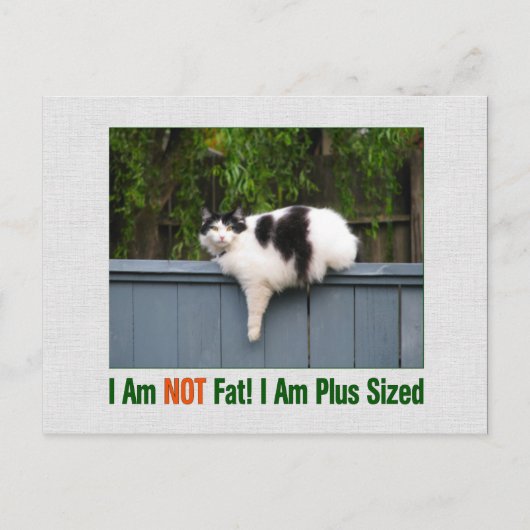 Plus Sized Kat Briefkaart (Voorkant)