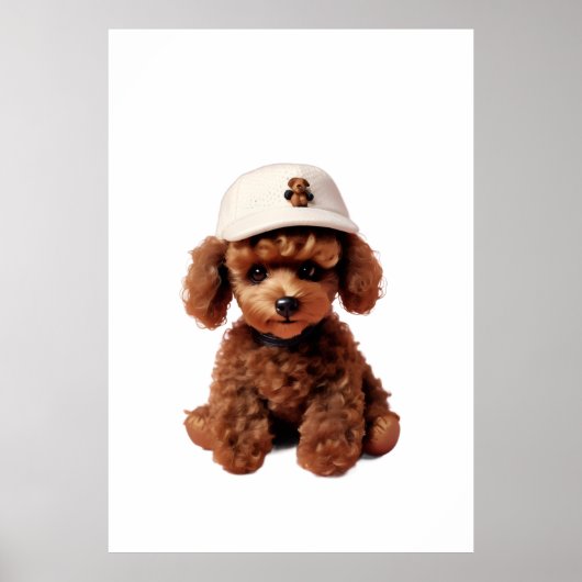 Plush Chocolate Mini Poodle Folder Poster (Voorkant)