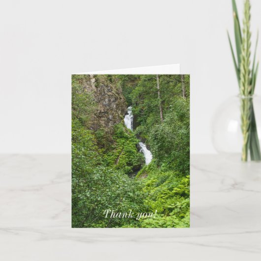 Plush Thunderbird Painterly Bedankt Kaart (Voorkant)