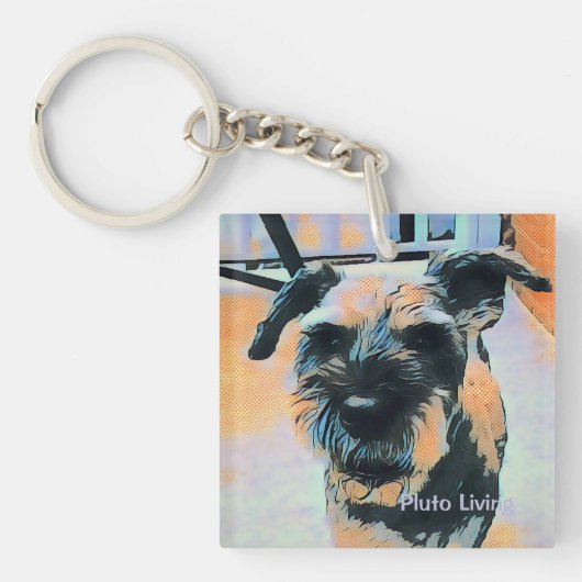 Pluto Living Sleutelhanger (Voorkant)