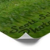 Plymouth Cuda 1970 Poster (Hoek)