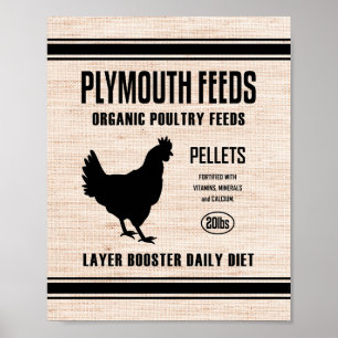 PLYMOUTH-DIEREN POSTER