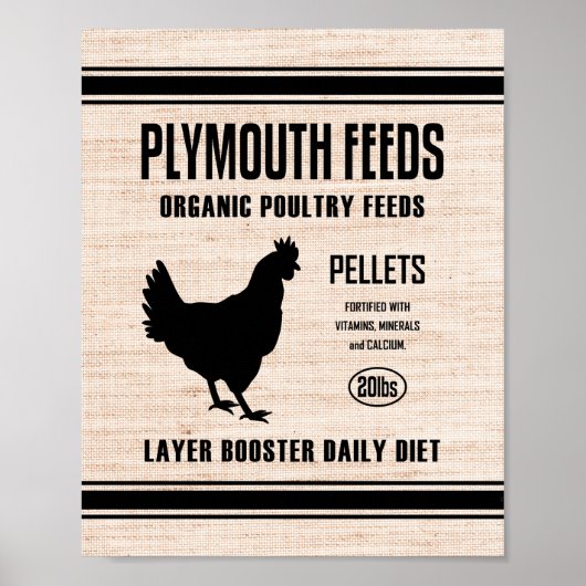 PLYMOUTH-DIEREN POSTER (Voorkant)