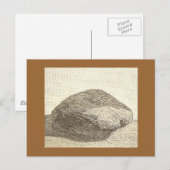 Plymouth Rock Briefkaart (Voorkant / Achterkant)