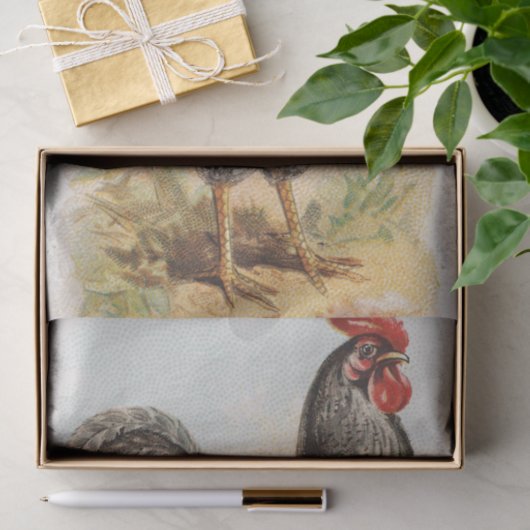  Plymouth Rock Chicken Decoupage Tissuepapier (Geschenk)
