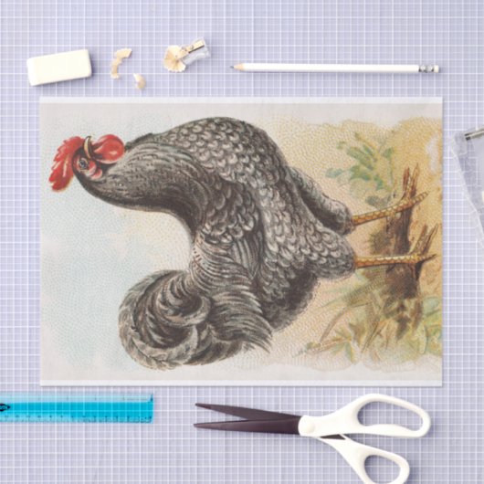 Plymouth Rock Chicken Decoupage Tissuepapier (Craft)