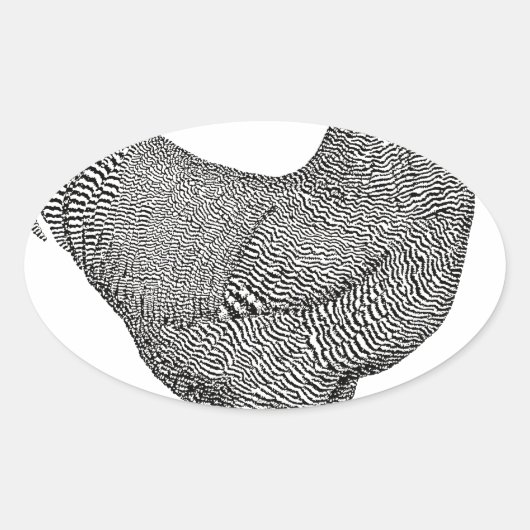 Plymouth Rock Chicken Drawing Ovale Sticker (Voorkant)