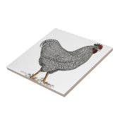 Plymouth Rock Chicken Drawing Tegeltje (Zijkant)