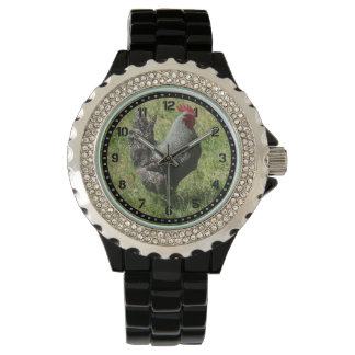 Plymouth Rock Chicken Watch Horloge