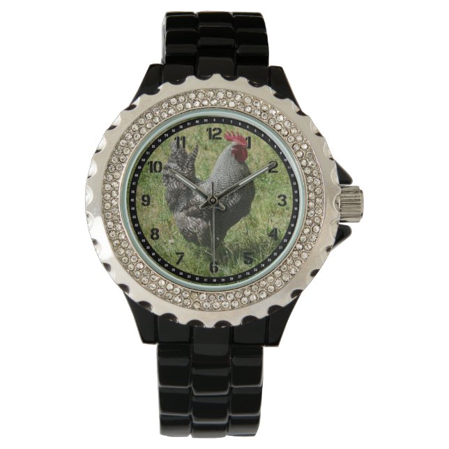 Plymouth Rock Chicken Watch Horloge (Voorkant)