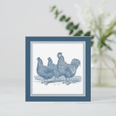 Plymouth Rock Chickens Antiek Blauwe Haan Kippen Kaart (Staand voorkant)