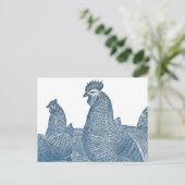Plymouth Rock Chickens Antiek Blue Rooster Hens Briefkaart (Staand voorkant)