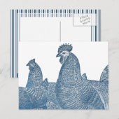 Plymouth Rock Chickens Antiek Blue Rooster Hens Briefkaart (Voorkant / Achterkant)
