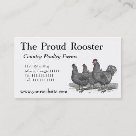 Plymouth Rock Chickens, Rooster Visitekaartje