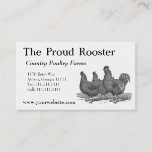 Plymouth Rock Chickens, Rooster Visitekaartje