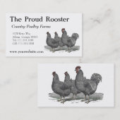 Plymouth Rock Chickens, Rooster Visitekaartje (Voorkant / Achterkant)