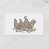 Plymouth Rock Chickens, Rooster Visitekaartje (Achterkant)