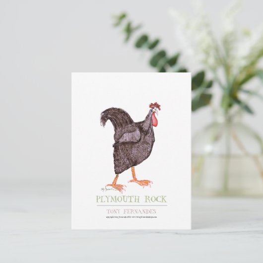 PLYMOUTH ROCK HEN, Tony Fernandes Briefkaart (Staand voorkant)