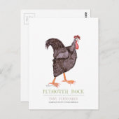 PLYMOUTH ROCK HEN, Tony Fernandes Briefkaart (Voorkant / Achterkant)