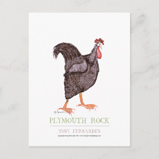PLYMOUTH ROCK HEN, Tony Fernandes Briefkaart (Voorkant)