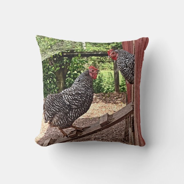 Plymouth Rock Hens Kussen (Voorkant)