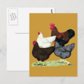 Plymouth Rock Quartet Briefkaart (Voorkant / Achterkant)