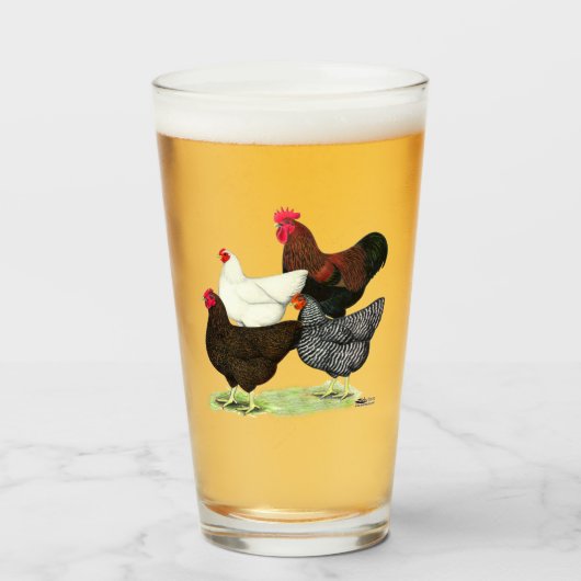 Plymouth Rock Quartet Glas (Voorkant gevuld)