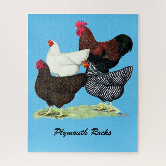 Plymouth Rock Quartet Legpuzzel (Verticaal)