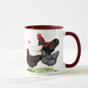 Plymouth Rock Quartet Mok