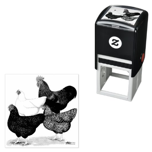 Plymouth Rock Quartet Zelfinktende Stempel (In situ)