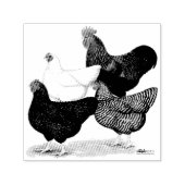 Plymouth Rock Quartet Zelfinktende Stempel (Design)