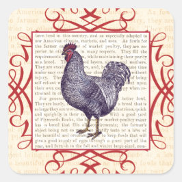 Plymouth Rock Rooster  Poultry Boerderij Vierkante Sticker